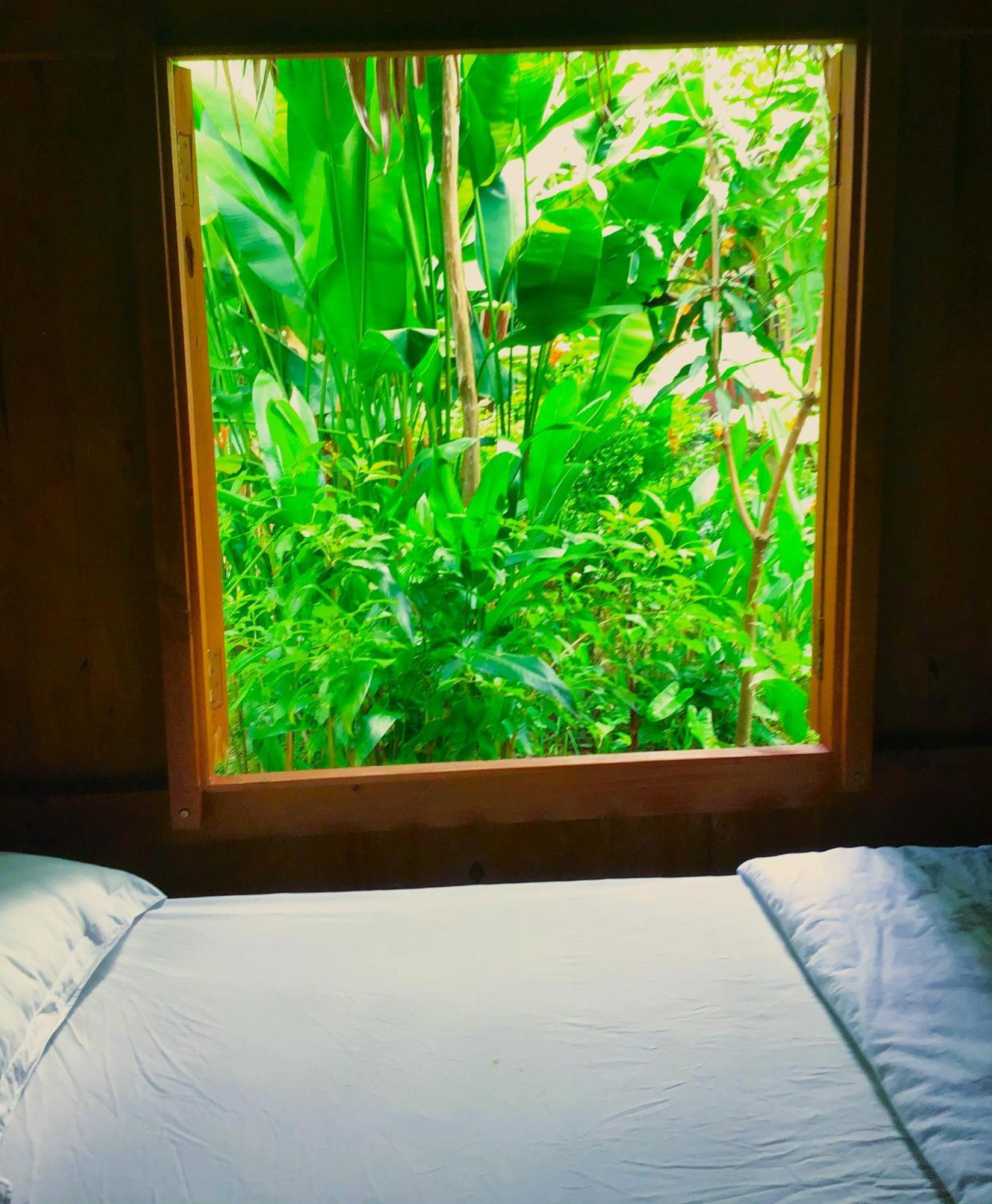 Ben Tre Farm Stay Extérieur photo