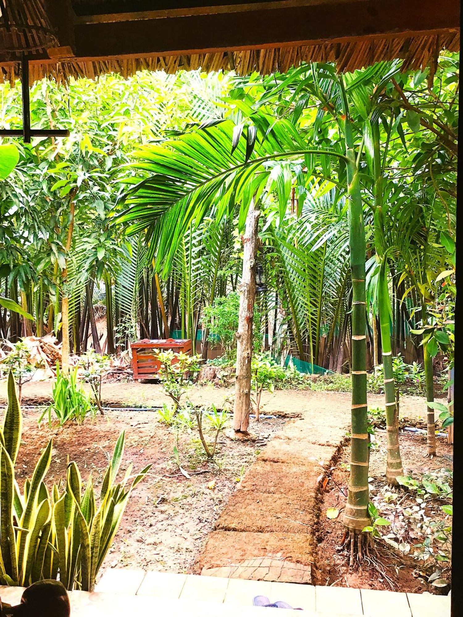 Ben Tre Farm Stay Extérieur photo