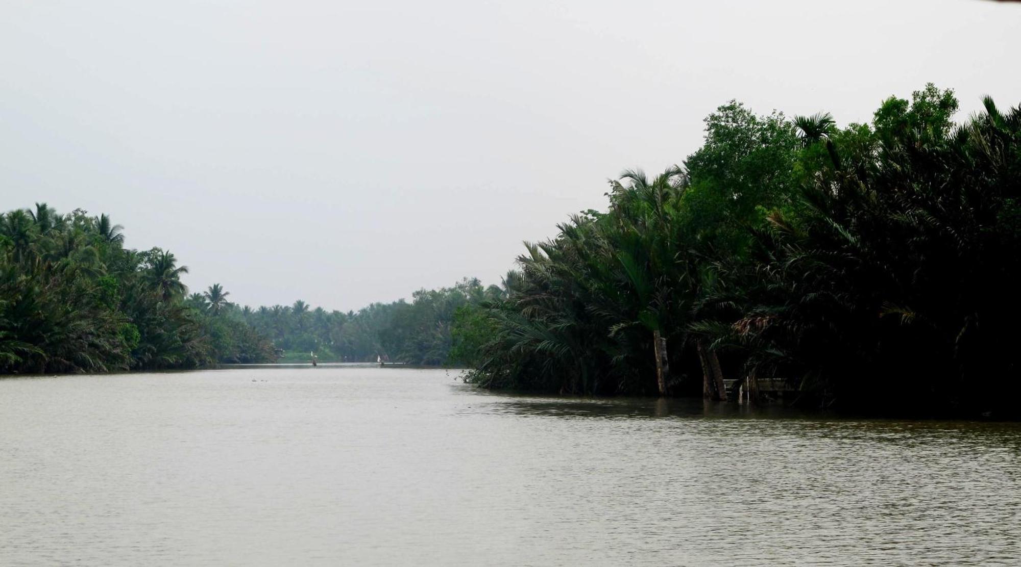 Ben Tre Farm Stay Extérieur photo