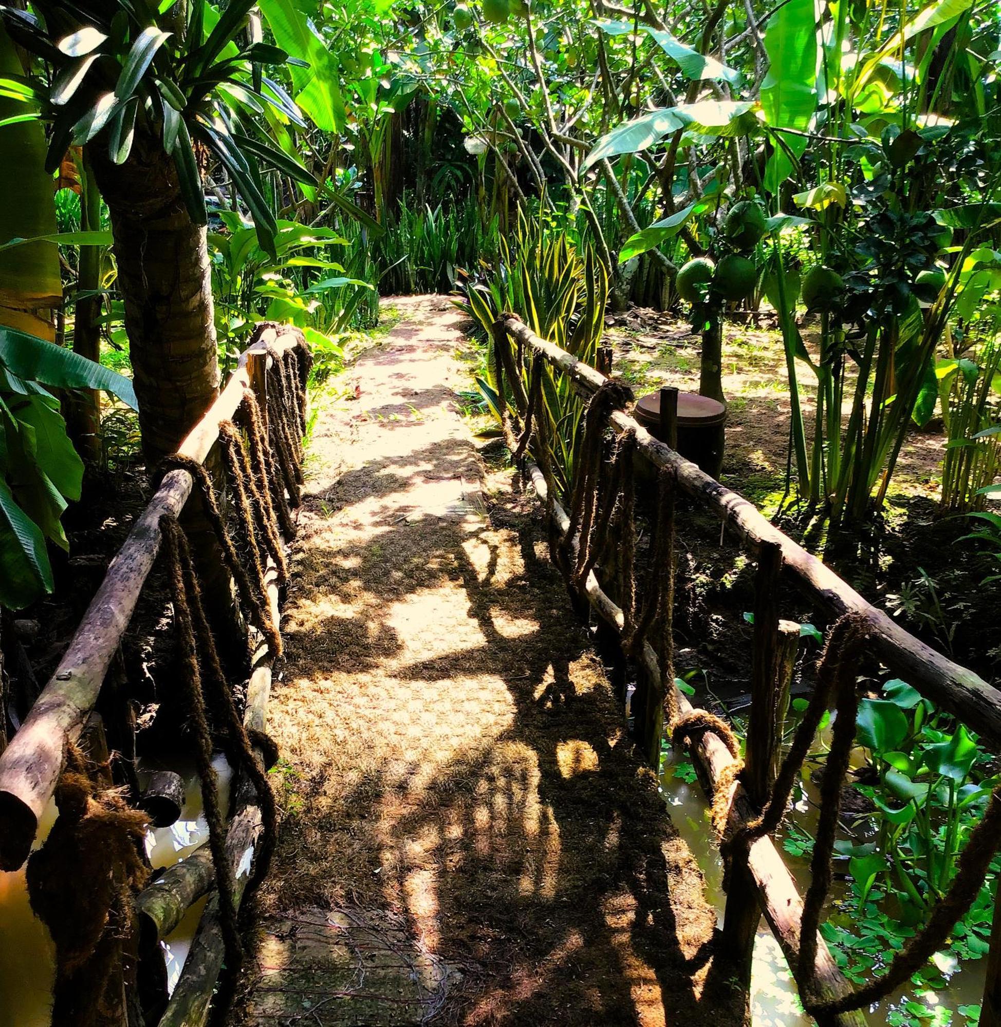 Ben Tre Farm Stay Extérieur photo