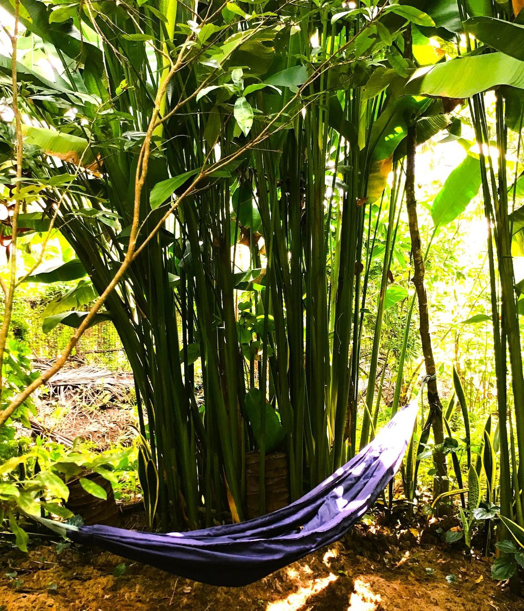Ben Tre Farm Stay Extérieur photo