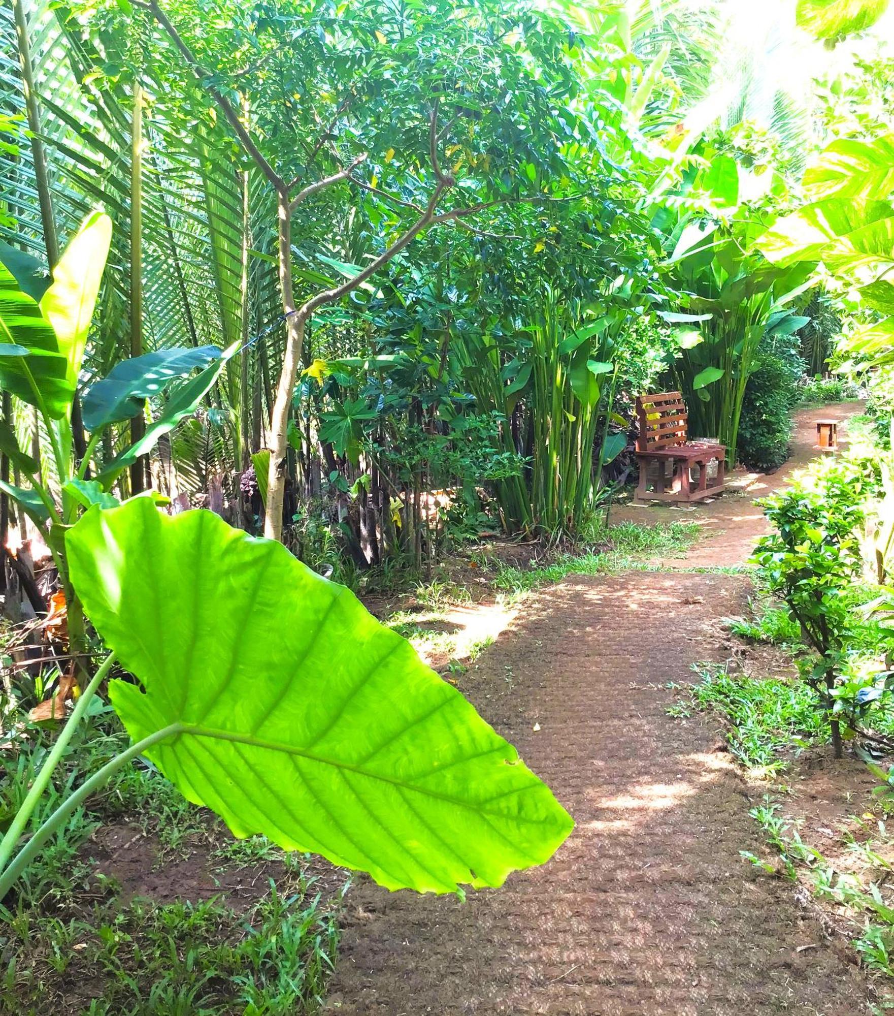 Ben Tre Farm Stay Extérieur photo
