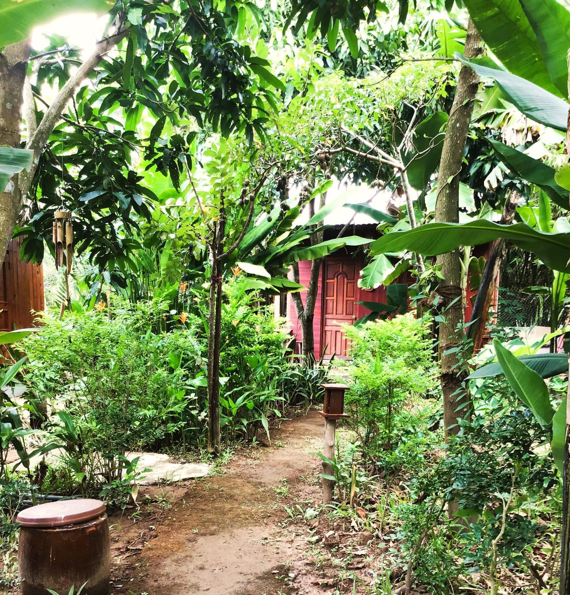Ben Tre Farm Stay Extérieur photo