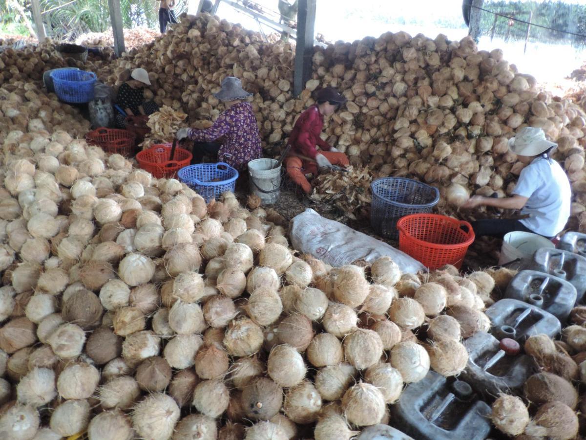 Ben Tre Farm Stay Extérieur photo
